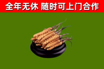 黑河烟酒回收冬虫夏草.jpg